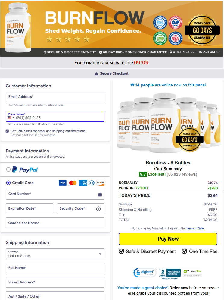 BurnFlow secure checkout page